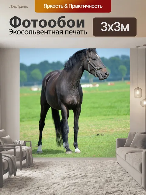 Фотообои Черная лошадь