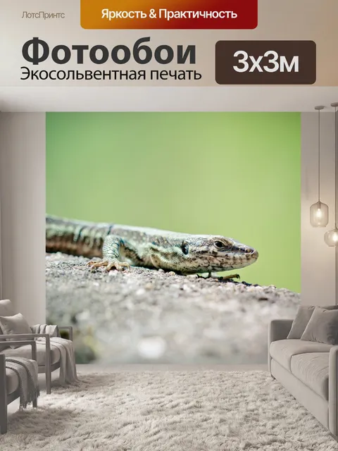 Фотообои Настенная ящерица