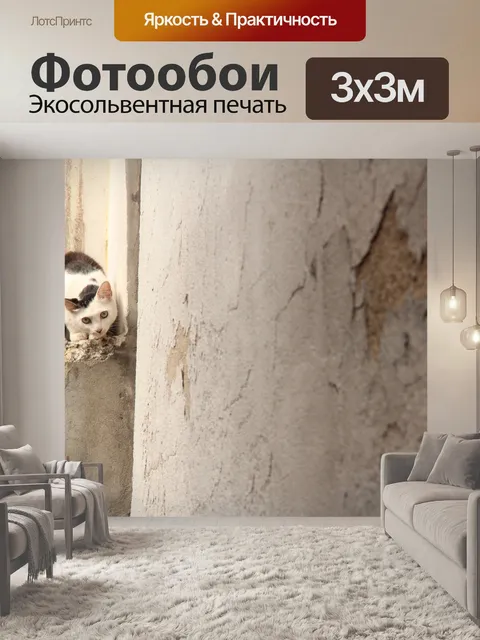 Фотообои Стена