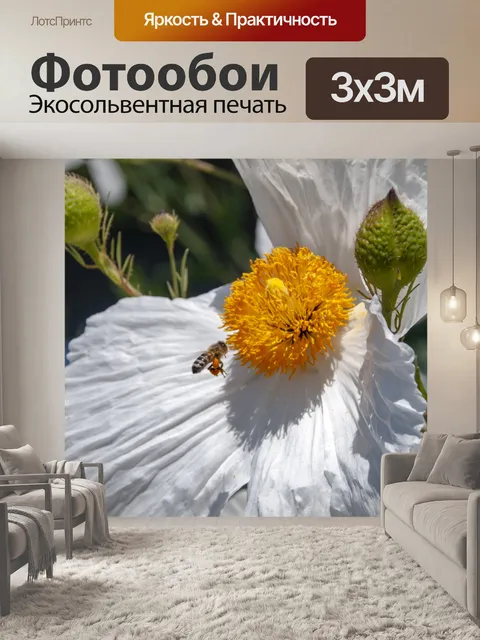 Фотообои Пчела летит к Цвету