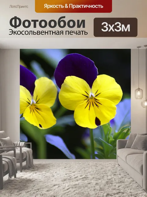 Фотообои Цветок