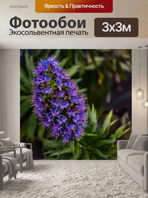 Фотообои Люпин крупным планом