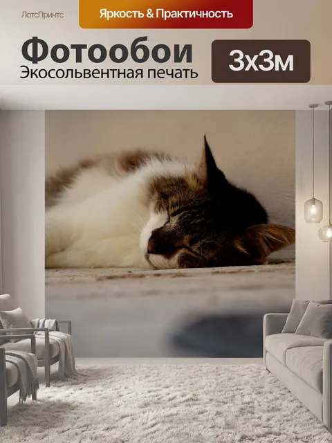 Фотообои Спать