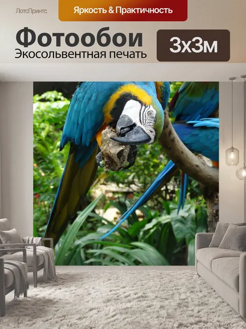 Фотообои Ара