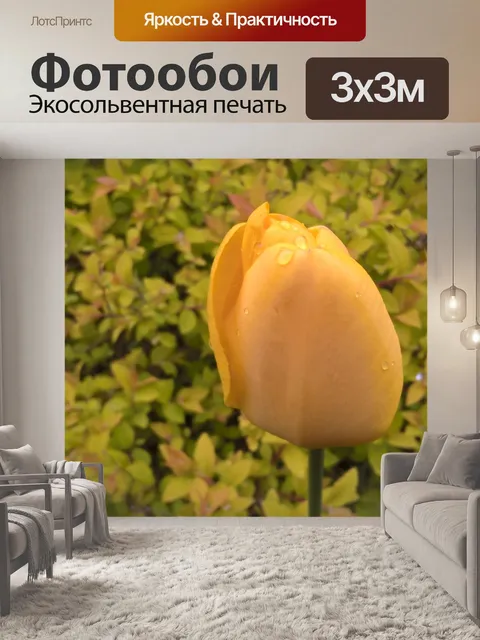 Фотообои Утренняя роса