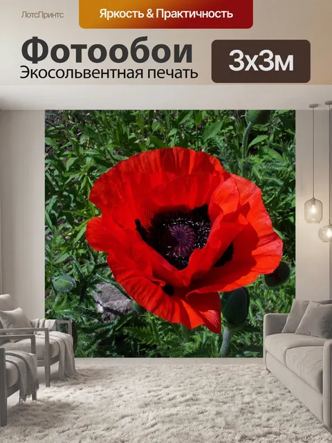 Фотообои Мак
