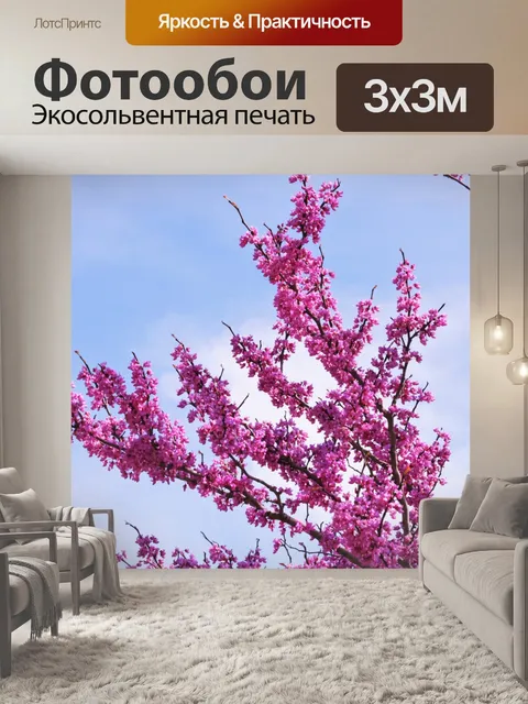 Фотообои Redbud цветет и голубое небо
