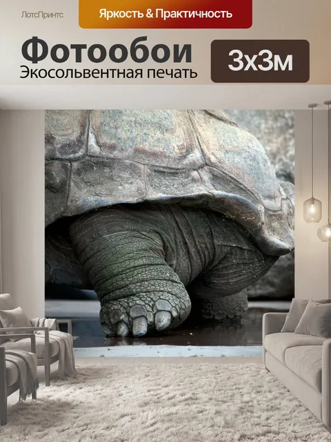 Фотообои Большая черепаховая опора
