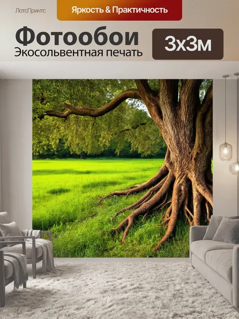 Фотообои поле, обложенное древними деревьями, с корнями, выползающими на поверхность и переплетаясь с травой