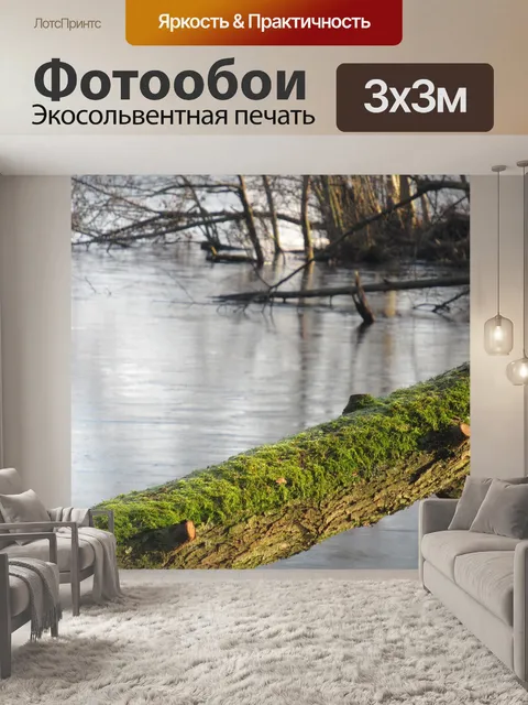 Фотообои Ствол дерева