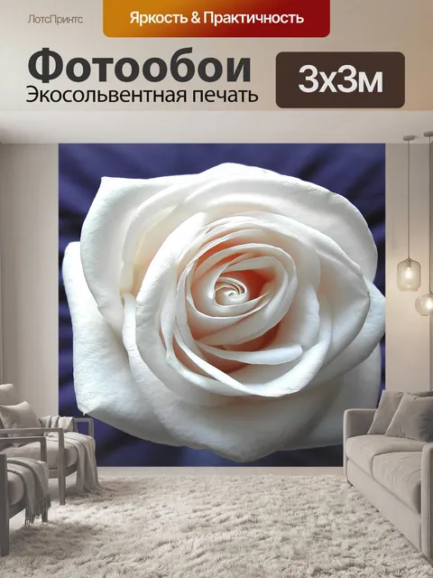 Фотообои Роза