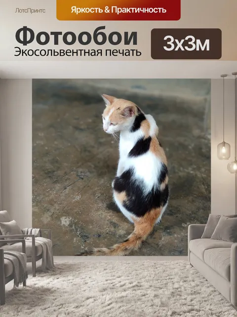 Фотообои Кошка