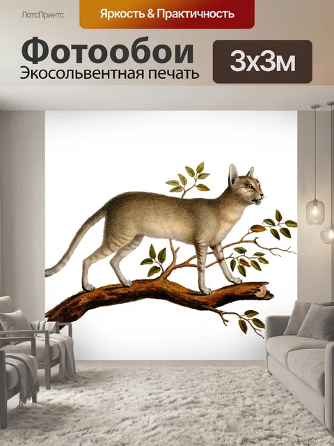 Фотообои Кошка Винтаж Иллюстрация 1835