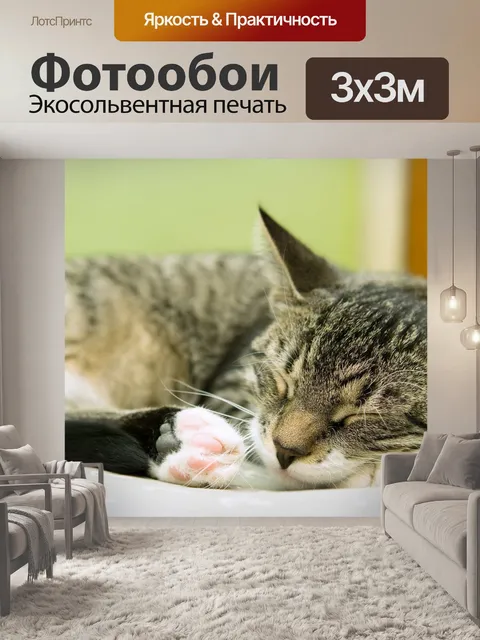 Фотообои Похмелье