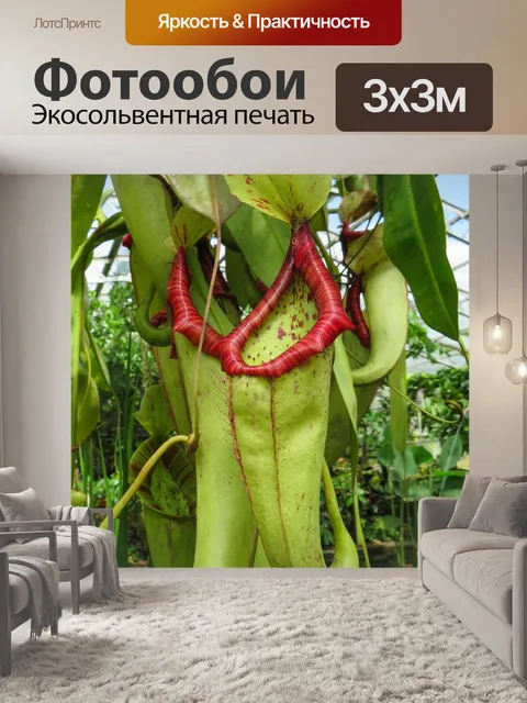 Фотообои Экзотика