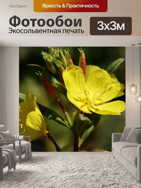 Фотообои Расцветает