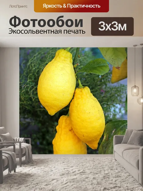 Фотообои Лимоны
