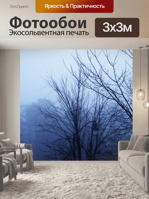 Фотообои Темный деревья, холодный туман