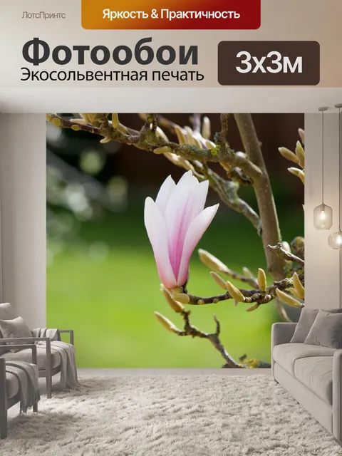 Фотообои Магнолия дерево Блум