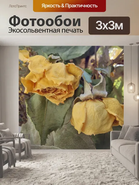 Фотообои Сухой цветок розы