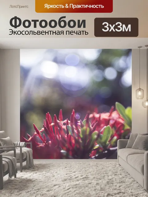 Фотообои Фиолетовый