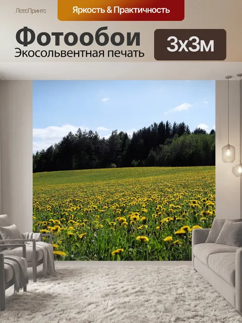 Фотообои Одуванчик