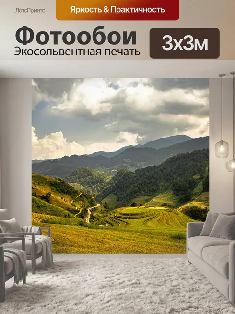 Фотообои Рисовые террасы