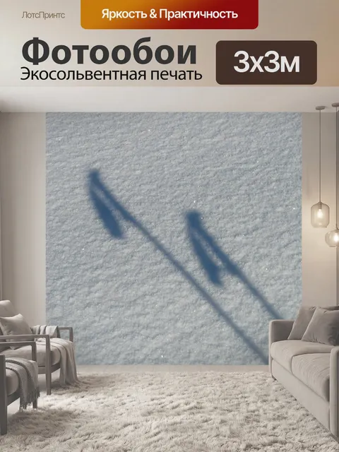 Фотообои Лыжные палки