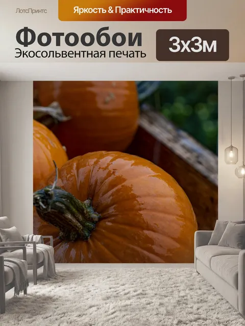 Фотообои Тыквы под дождем