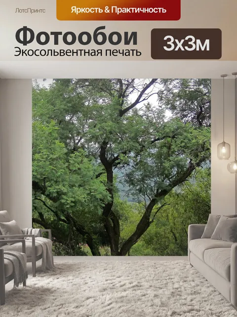 Фотообои Дерево в африканском кустарнике