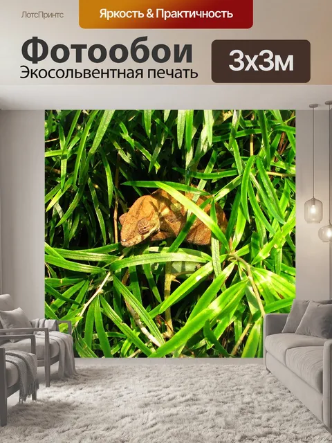 Фотообои Хамелеон