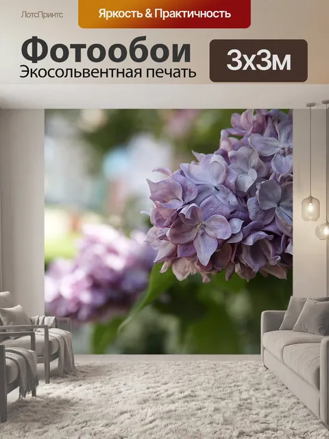 Фотообои Сирень