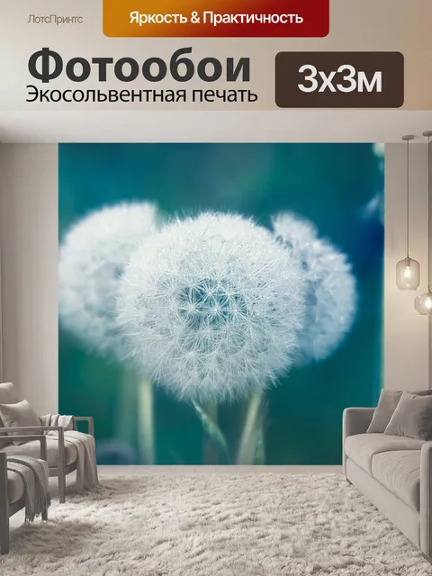 Фотообои Одуванчик