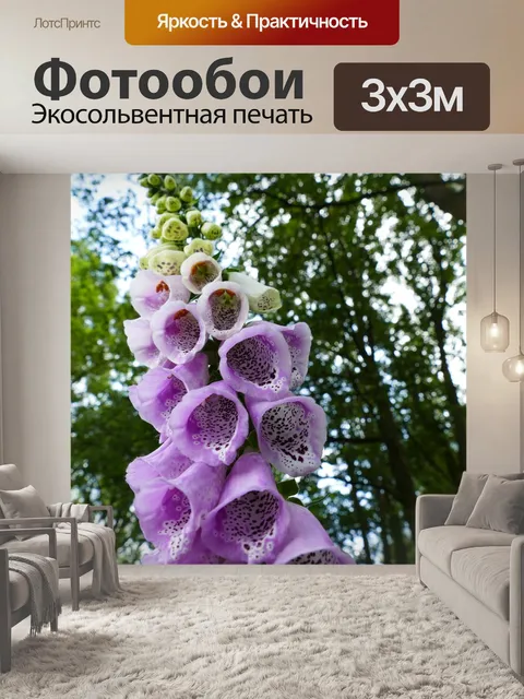 Фотообои Наперстянка