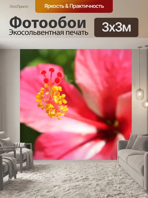 Фотообои красные цветы gumamela