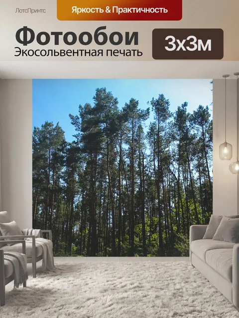 Фотообои Лес