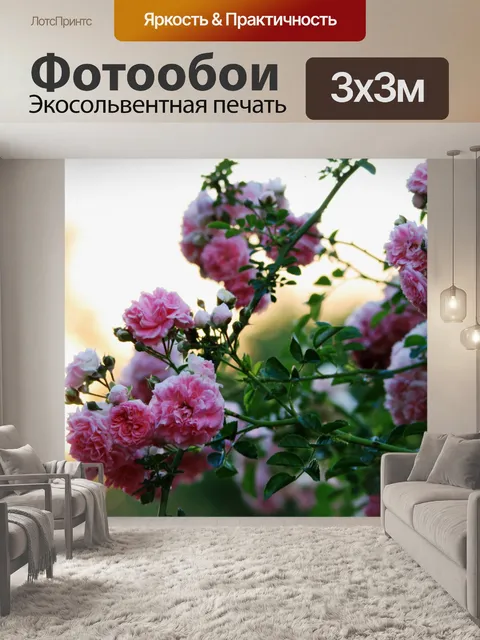 Фотообои розовый куст