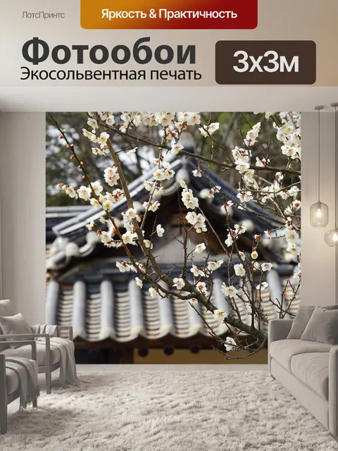 Фотообои Сливы