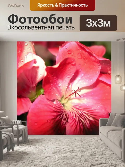 Фотообои Розовая Зебра герани