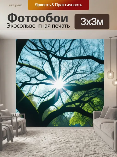 Фотообои солнце сквозь ветви деревьев в парке