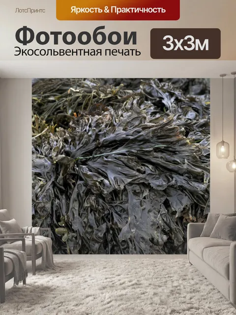 Фотообои Водоросли Фон
