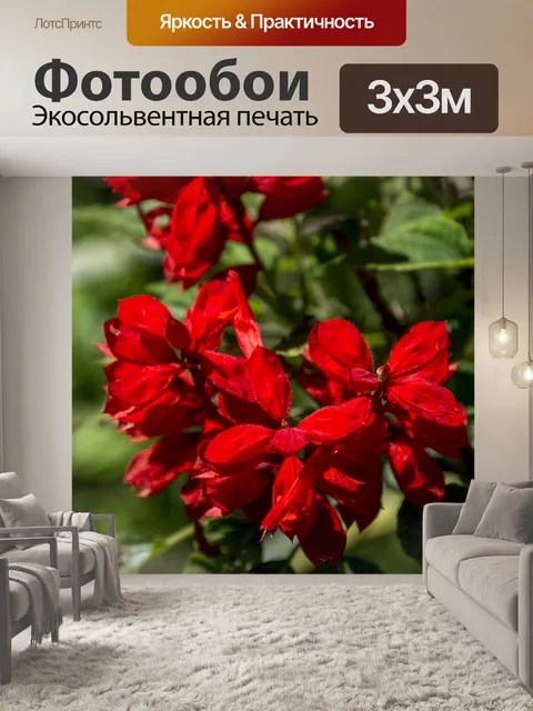 Фотообои Роза