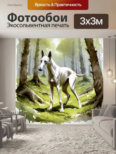 Фотообои борзая, исследующая древний лес, ее длинные ноги легко пробираются через густые заросли, передавая ощущение…