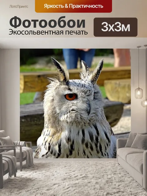 Фотообои Зоопарк