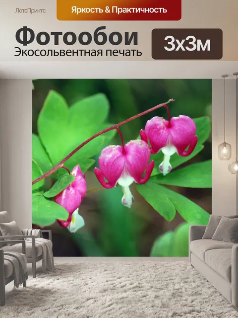 Фотообои Dicentra Spectabilis