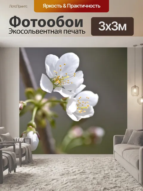 Фотообои Вишневый цветок