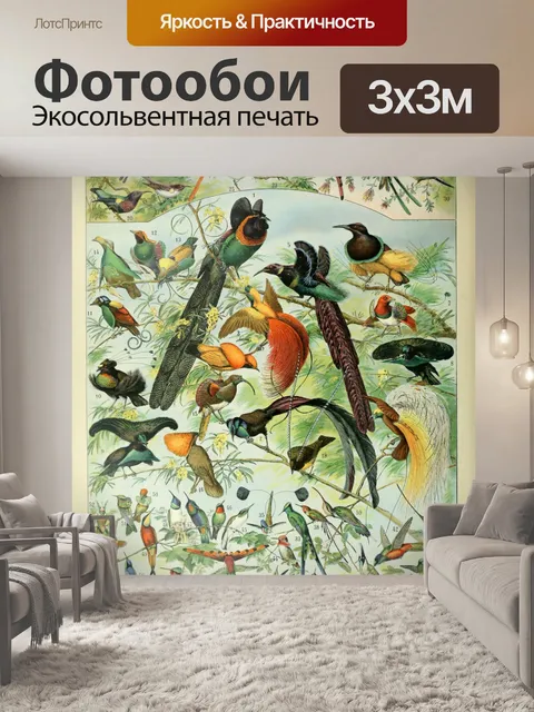 Фотообои Птицы Винтаж Арт Принт