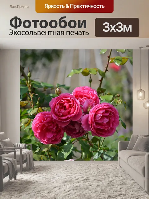 Фотообои Розовые розы