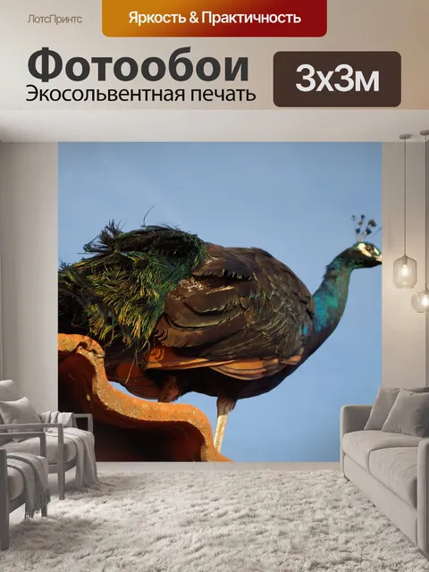 Фотообои Павлин