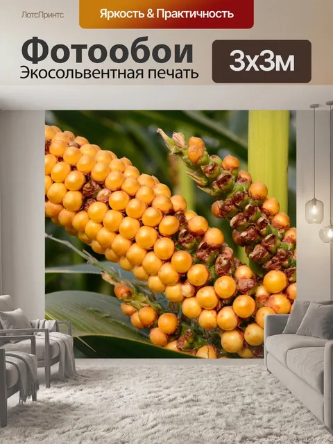 Фотообои Природа
